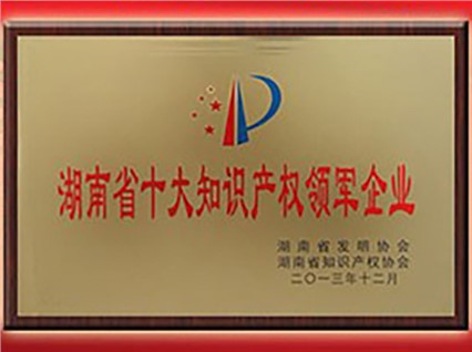 熱烈慶?！跋嫣逗阈馈北辉u為“首屆湖南省十大知識產(chǎn)權領軍企業(yè)”