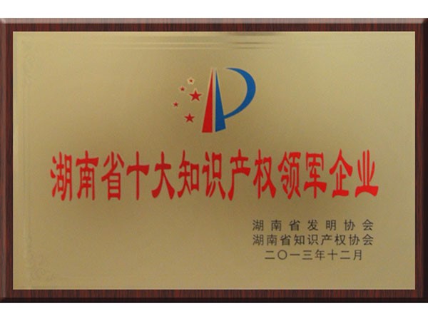 湖南省十大知識產(chǎn)權領軍企業(yè)